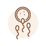 הפריה חוץ גופית - IVF