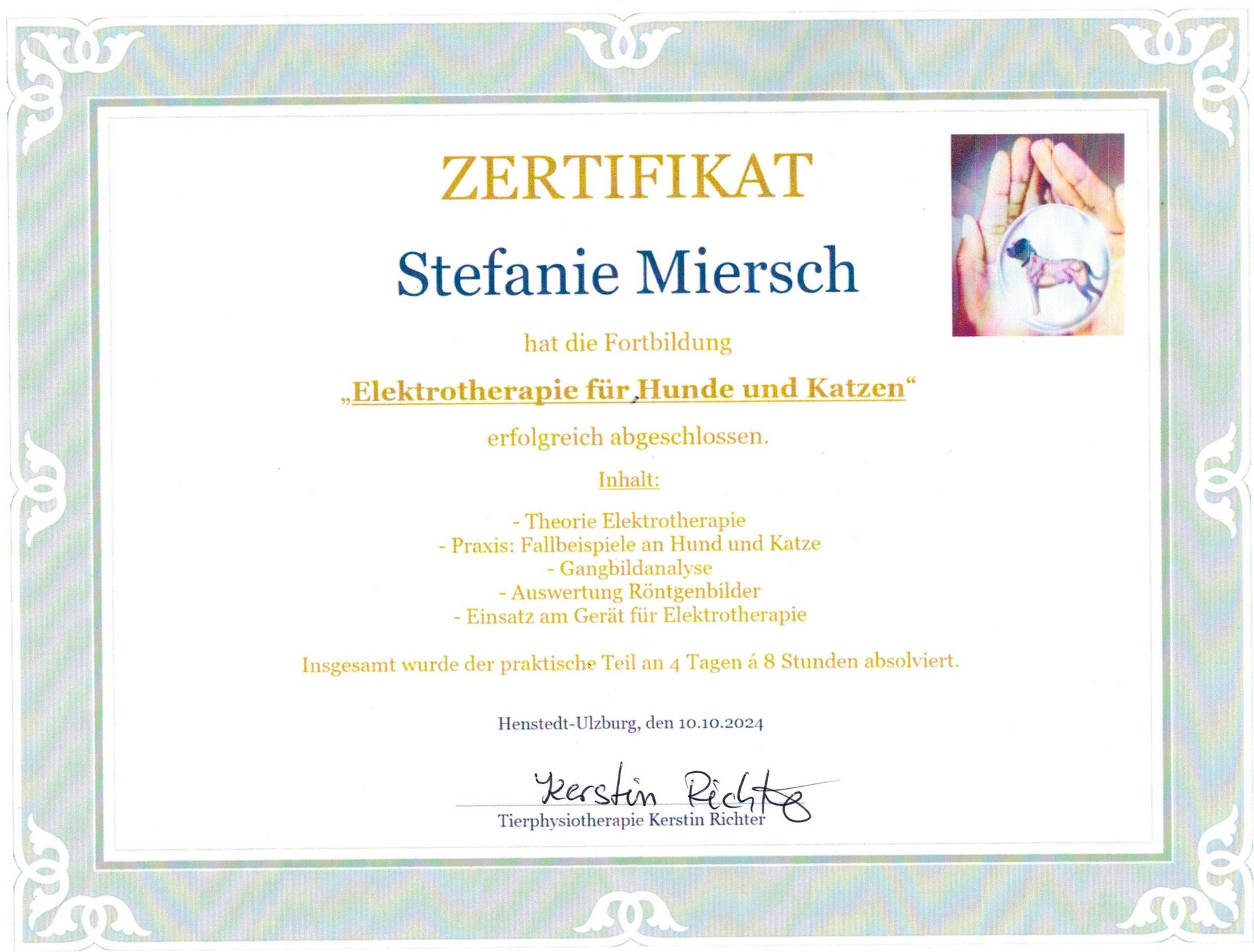 Ein Zertifikat mit der Aufschrift Zertifikat Stefanie Miersch