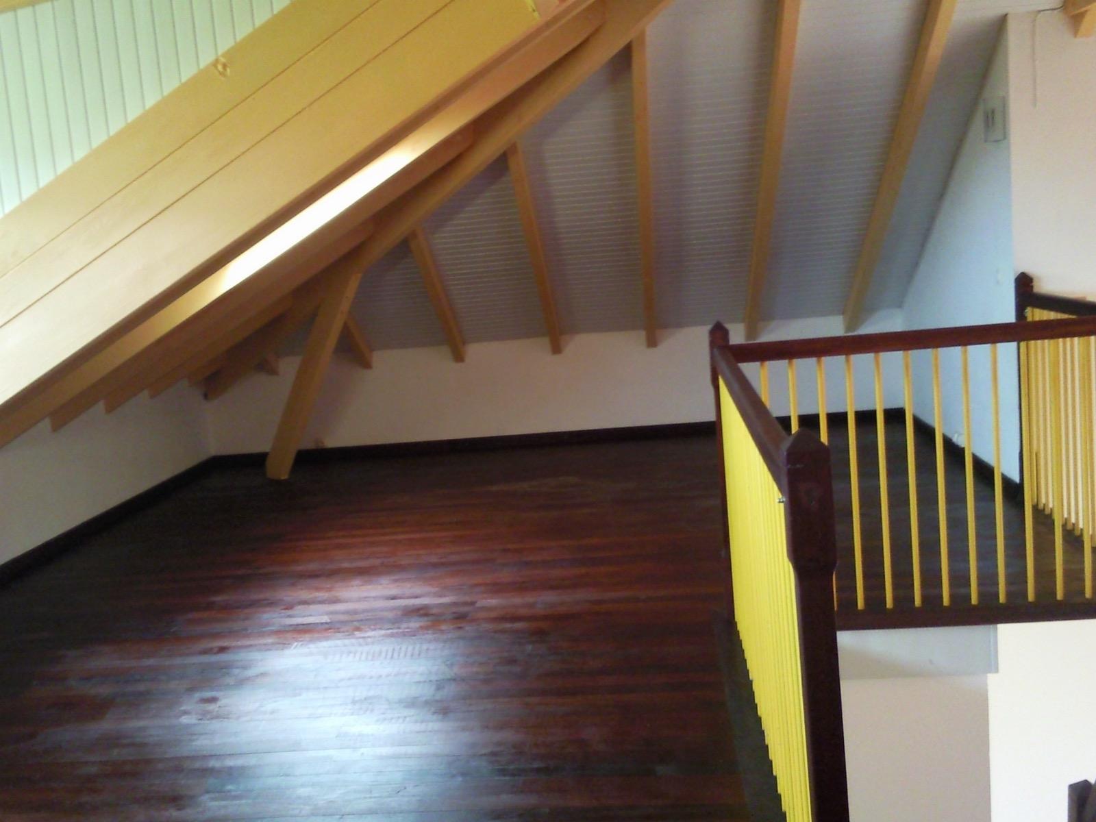 Mezzanine, charpente, parquet et menuiseries