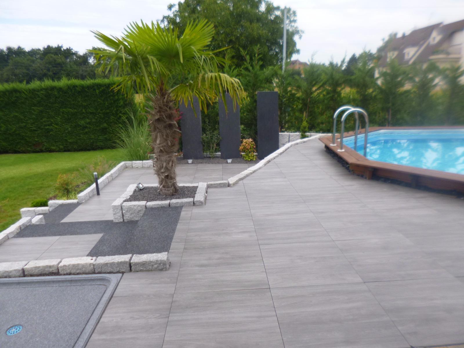 Jardin avec piscine, palmier et terrasse en pierre. Pelouse verte, arbres et ciel nuageux.
