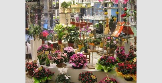 Compositions florales et bouquets