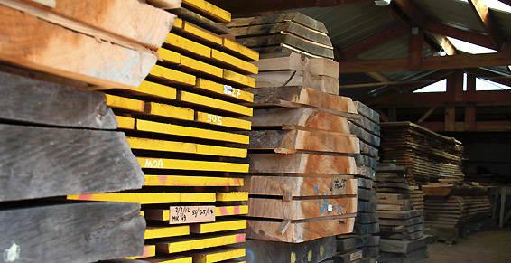 ... quelle qu'en soit l'essence, cèdre, hêtre, pin, chêne, ...