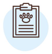 ניסיון ומקצועיות