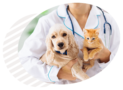 עיקורים וסירוסים