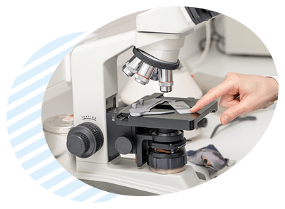 בדיקות מעבדה