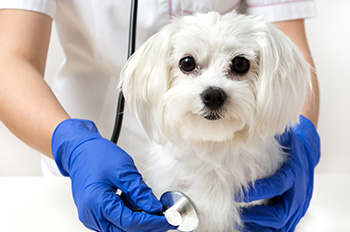 חדרי אשפוז וחדרי ניתוח