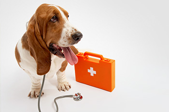 שירותי חירום 24/7