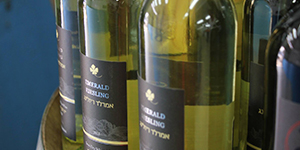 מבחר יינות שיחמיאו למנות הדגים