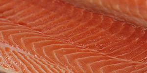 דגים מפולטים או טחונים – לבחירתכם!