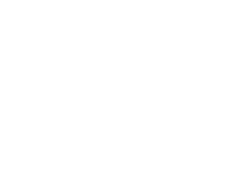 Fondo blanco vacío.