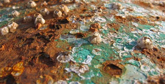 Examen sous microscope des corrosions