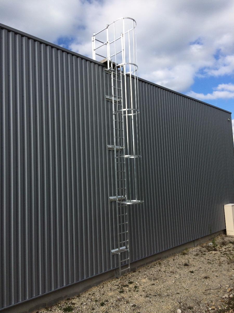 D. SCOLA - ECHELLE CRINOLINE