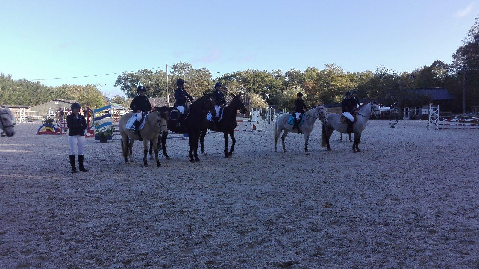 Centre équestre et gîte rural à Tauxigny 37 du Buisson