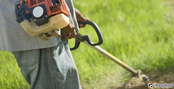 Nold et Fils Ets. Tondeuse à gazon.