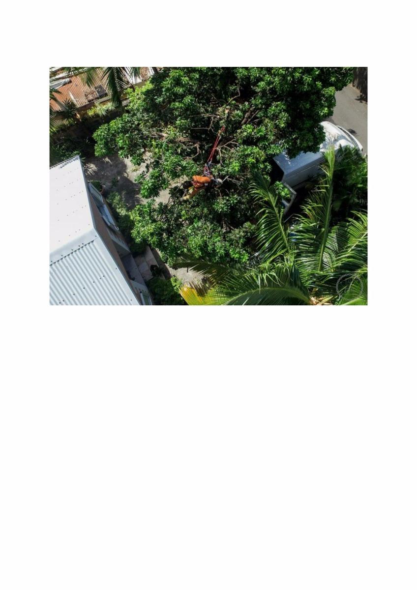 Entreprise A l Elagage