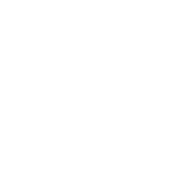 מסירת רכבים חדשים 