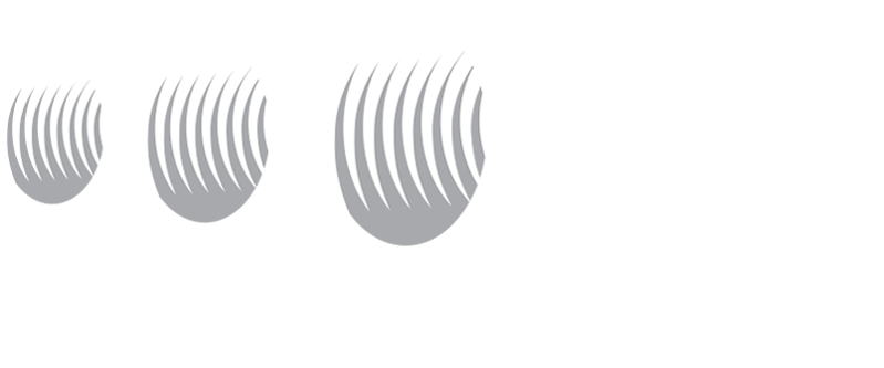 Polytec - Contact