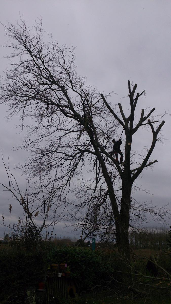 Bouget Jérôme, élagueur en Maine et Loire (49)