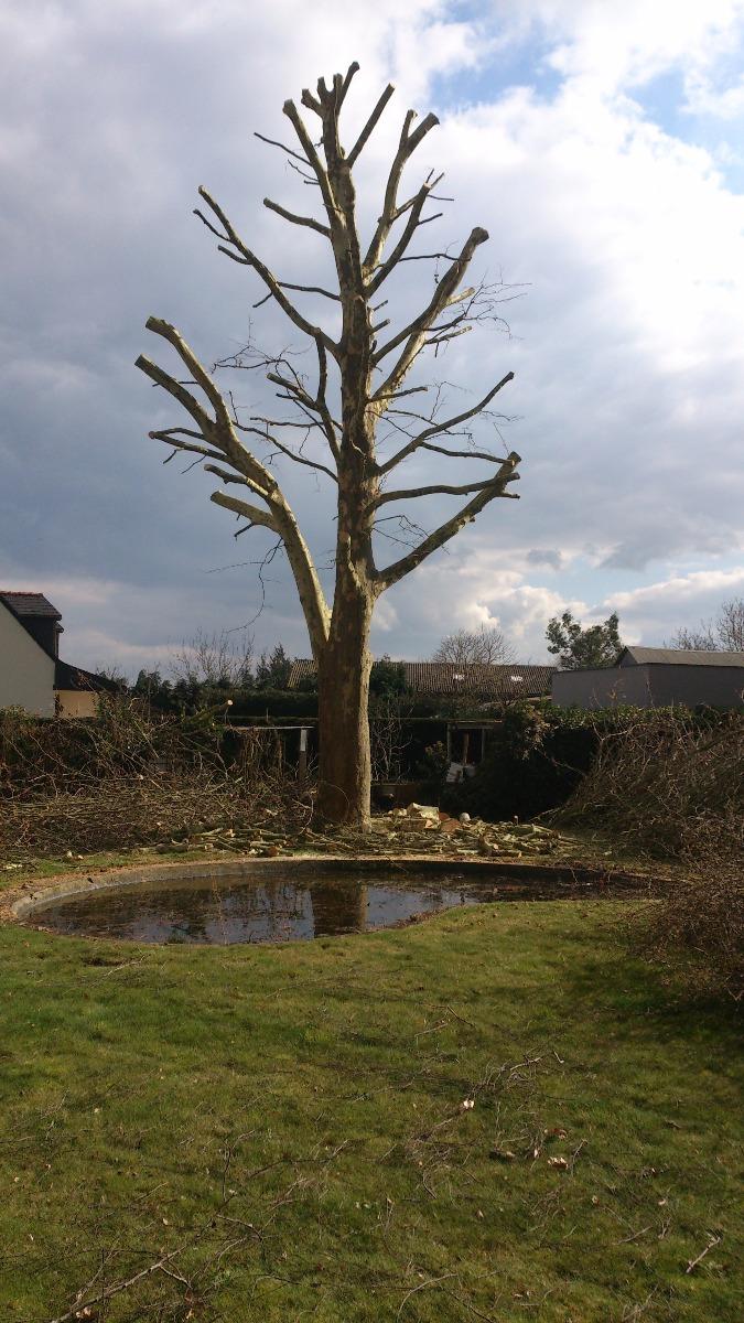 Bouget Jérôme, grimpeur élagueur dans le Maine et Loire (49)