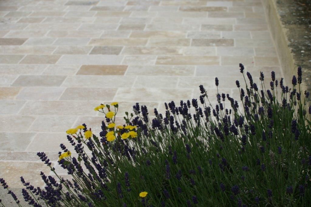 Des fleurs lavande et jaunes bordent une allée de pierre claire