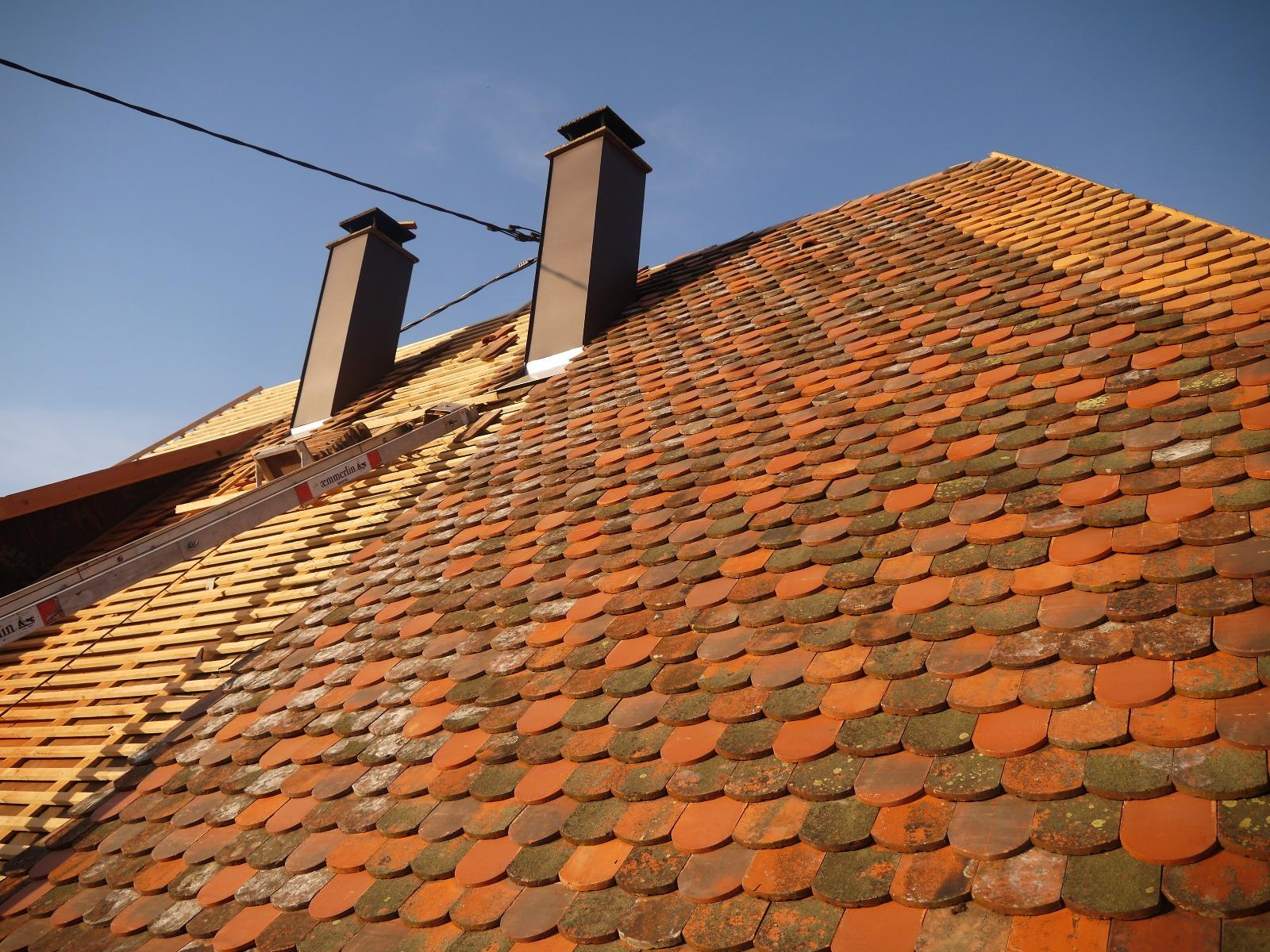 creation chien assis et refection de toiture