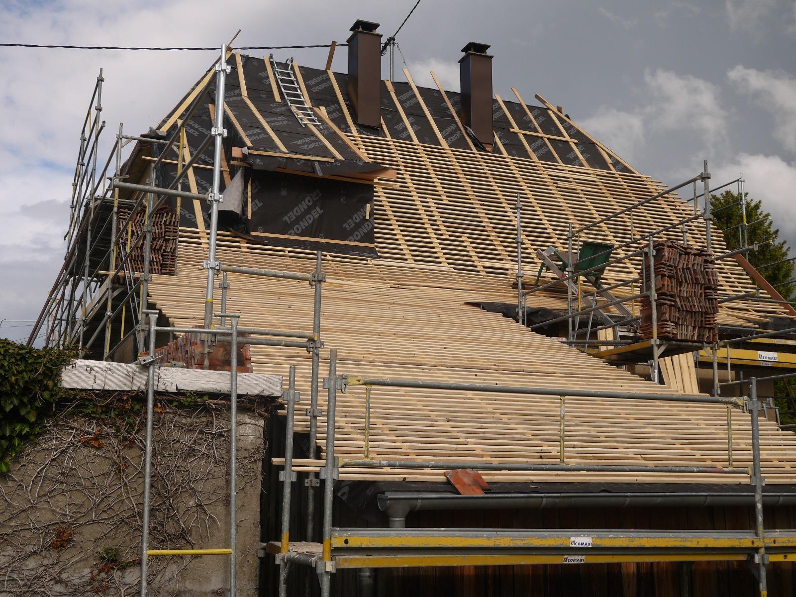 Chien assis et réfection de toiture