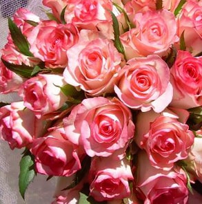 טריות ורעננות מהטבע