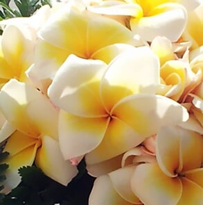 עיצוב בהתאמה אישית