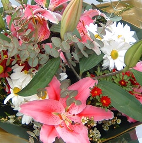 מקצועיות וניסיון רב שנים