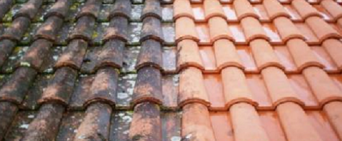 Alliances Couverture : DEMOUSSAGE