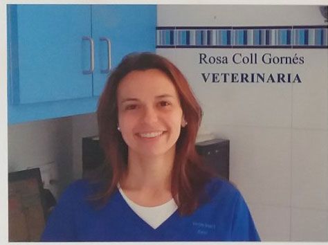 Clínica Veterinaria Rafael Coll Roselló veterinario4