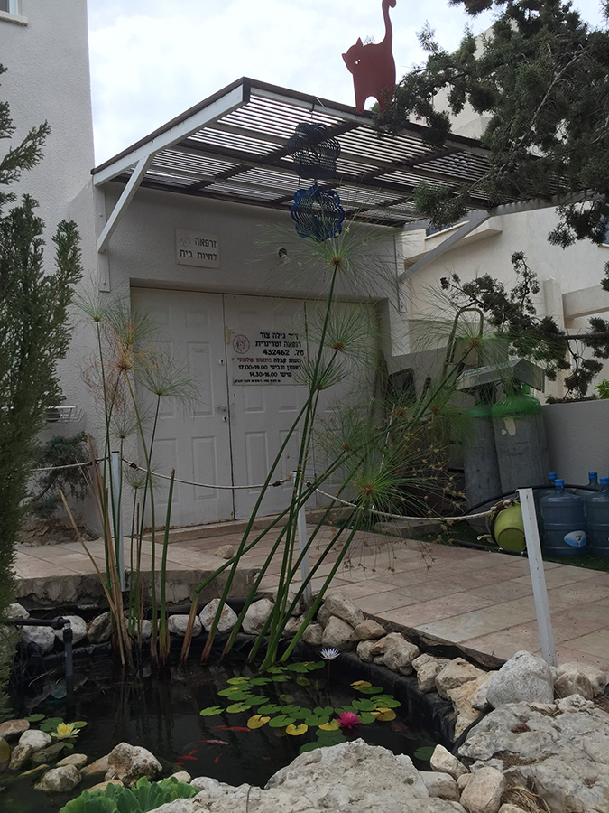 מרפאה לחיות בית ביבנה