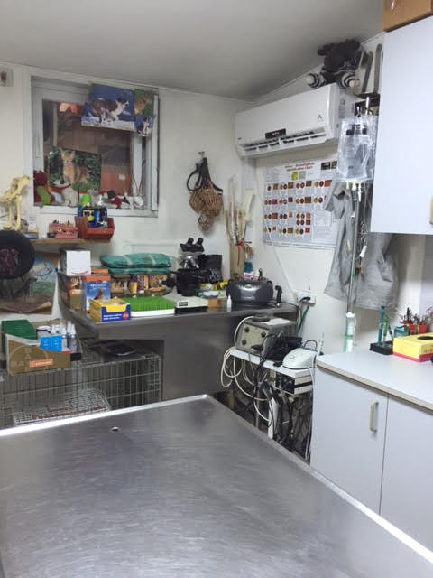 מרפאה לחיות בית ביבנה