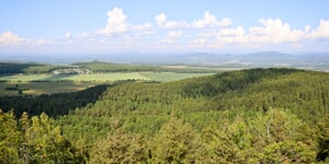 Αντιρρήσεις Δασικών Χαρτών