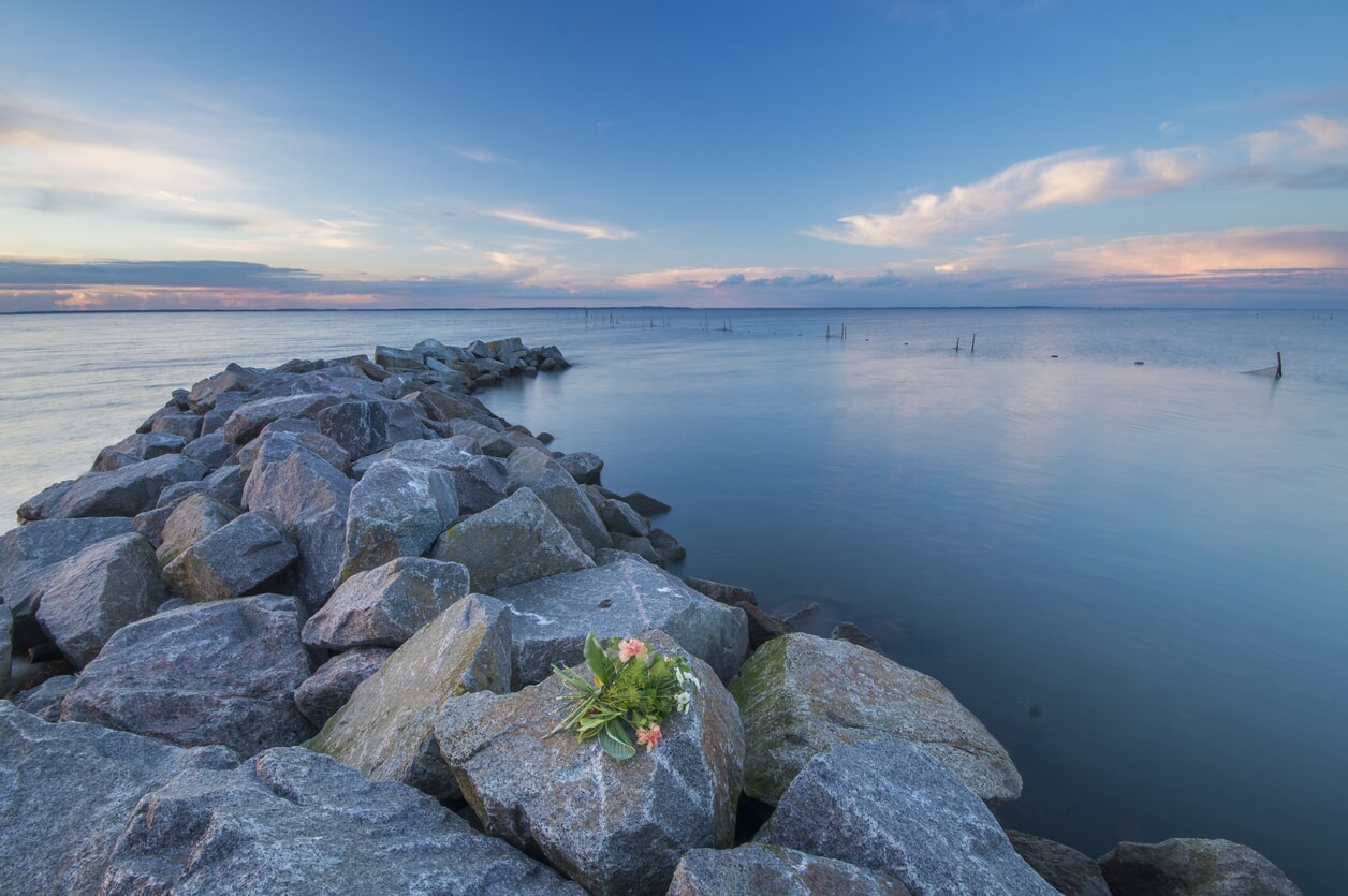A Funerária Vale de Besteiros