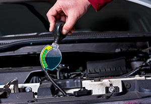 מקצועיות וידע