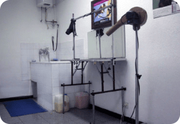 Clínicas Vaterinárias em Oeiras - Clínica Veterinária Vetmilenium