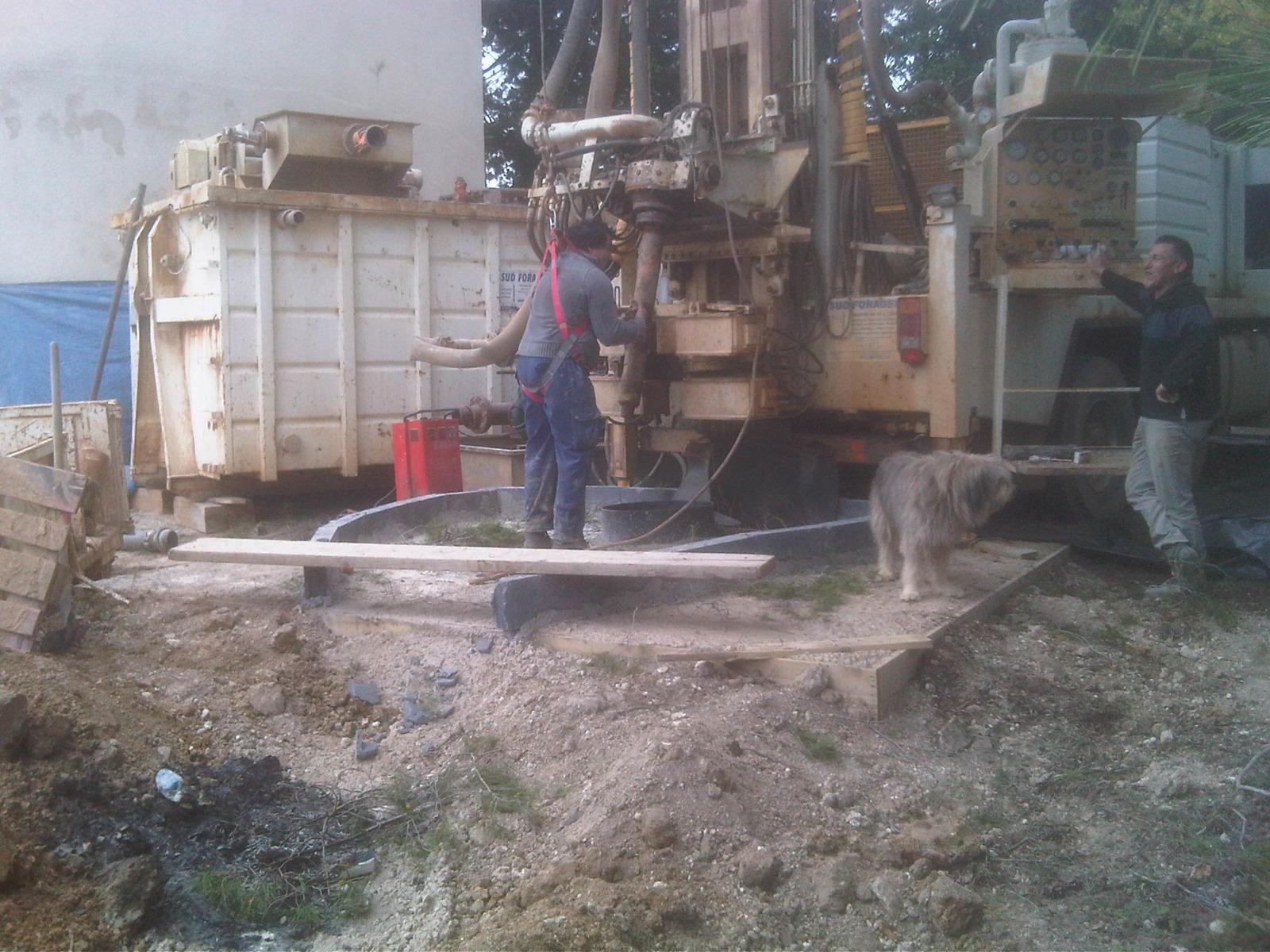 IMG01343-20110331-1514