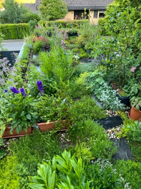 Birgit Meisel Naturnahe Gärten und Pflanzungen - Garten- und Landschaftsgestaltung