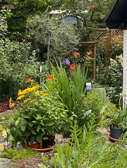Birgit Meisel Naturnahe Gärten und Pflanzungen - Garten- und Landschaftsgestaltung