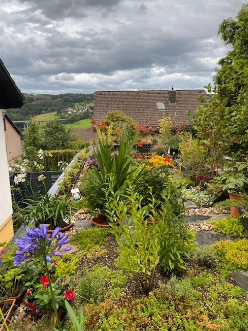 Birgit Meisel Naturnahe Gärten und Pflanzungen - Garten- und Landschaftsgestaltung