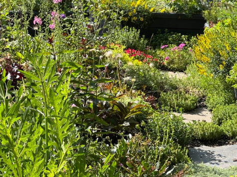 Birgit Meisel Naturnahe Gärten und Pflanzungen - Garten- und Landschaftsgestaltung