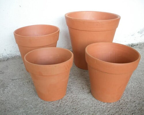 Floricultora Horto do Rossio - Vasos