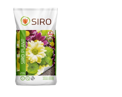 Floricultora Horto do Rossio - Substrato