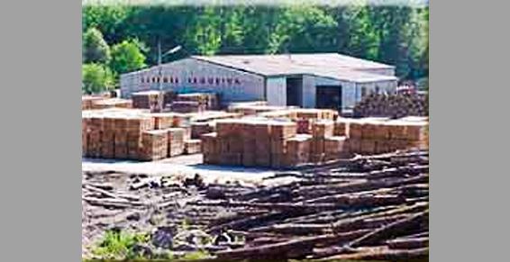 Séqueira José et Fils SARL à Bourganeuf - Scieries