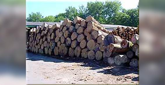 Forêts (exploitation)  à Bourganeuf