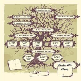 Farmacia Mir Muñoz árbol