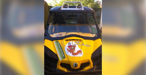 Art Elagage SARL à Beynost