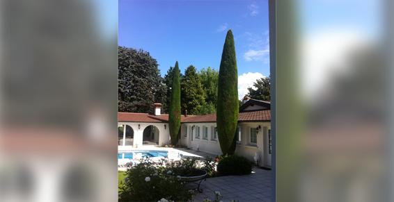 Art Elagage SARL à Beynost - Élagage, abattage (entreprises)