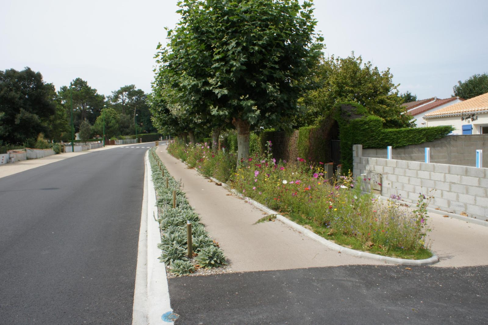 Piste cyclable à JARD SUR MER